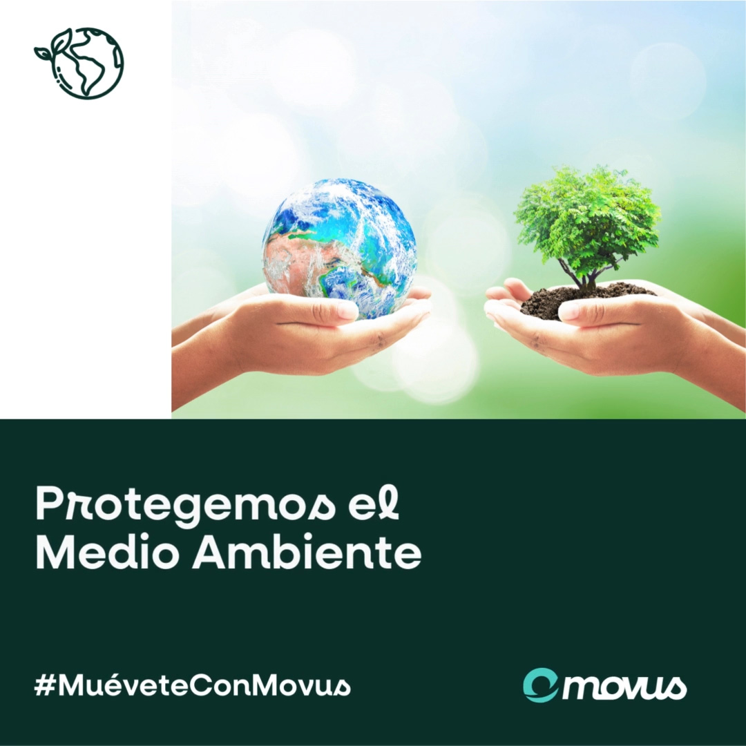 dia-medio-ambiente